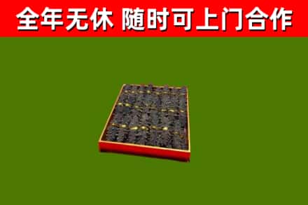 甘洛烟酒回收海参.jpg